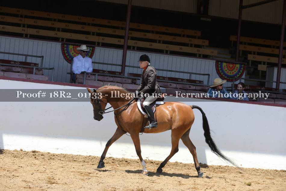 Proof Number 18R2_01133