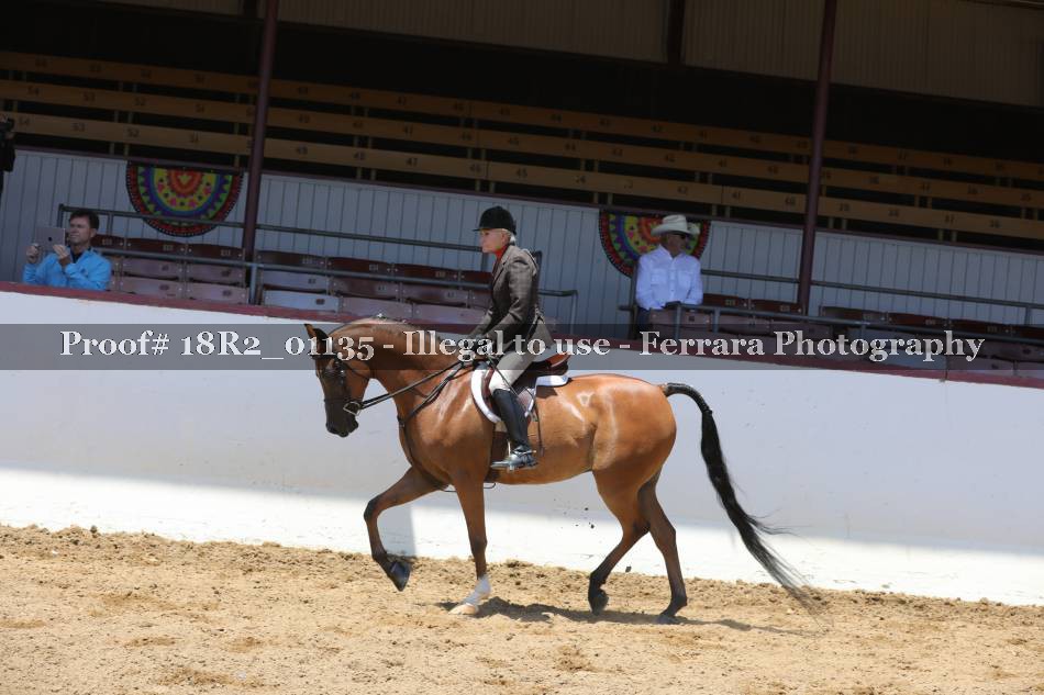 Proof Number 18R2_01135