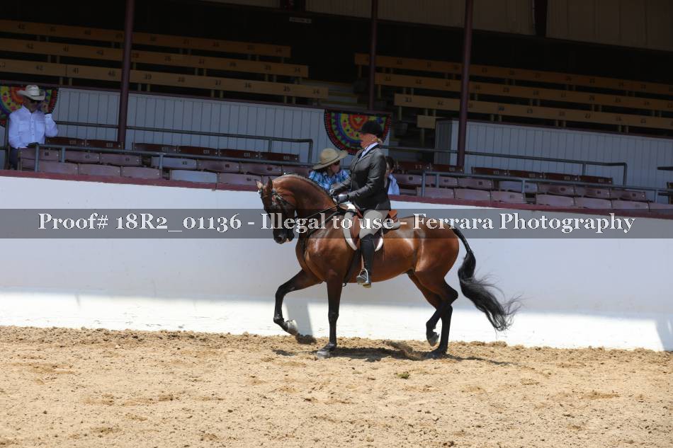 Proof Number 18R2_01136
