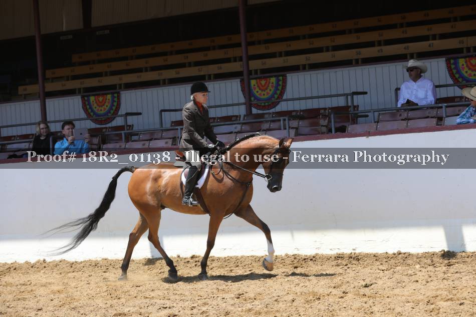 Proof Number 18R2_01138