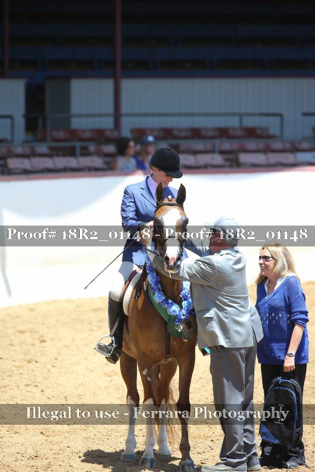Proof Number 18R2_01148
