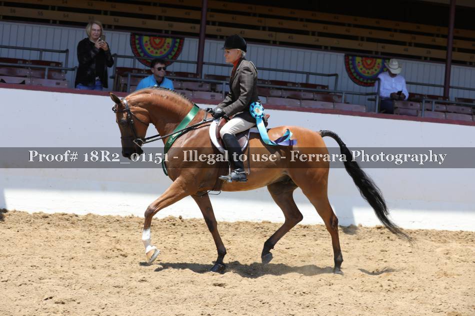 Proof Number 18R2_01151