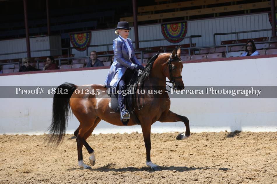 Proof Number 18R2_01245
