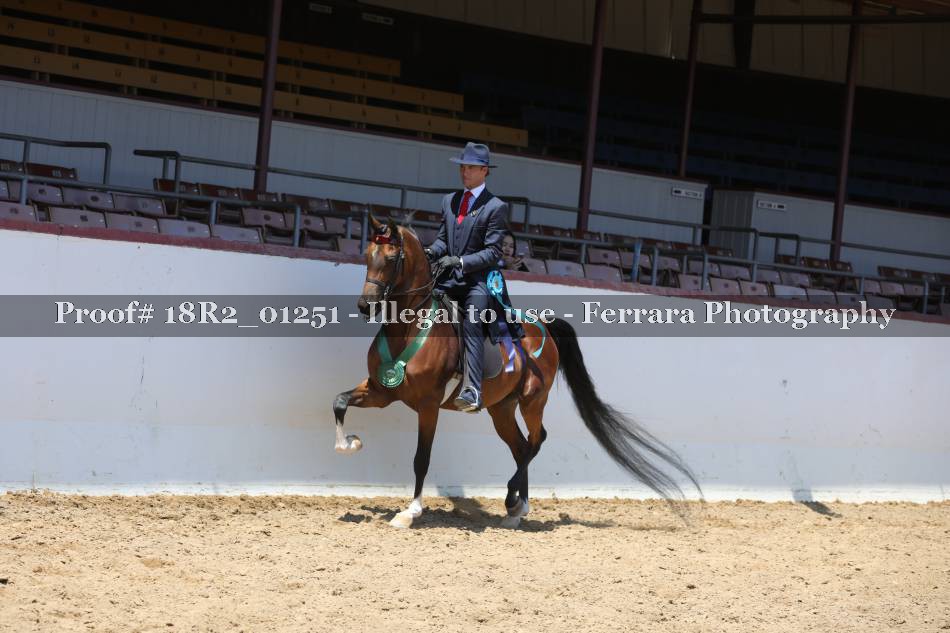 Proof Number 18R2_01251