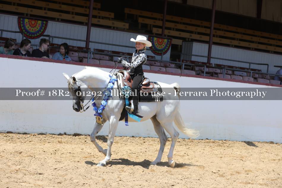Proof Number 18R2_01292