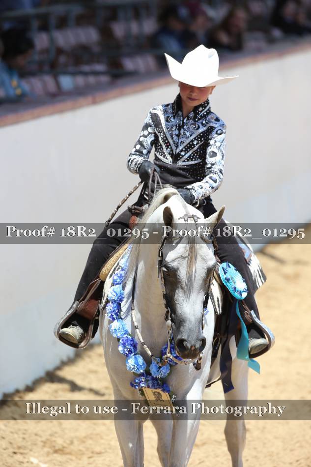 Proof Number 18R2_01295