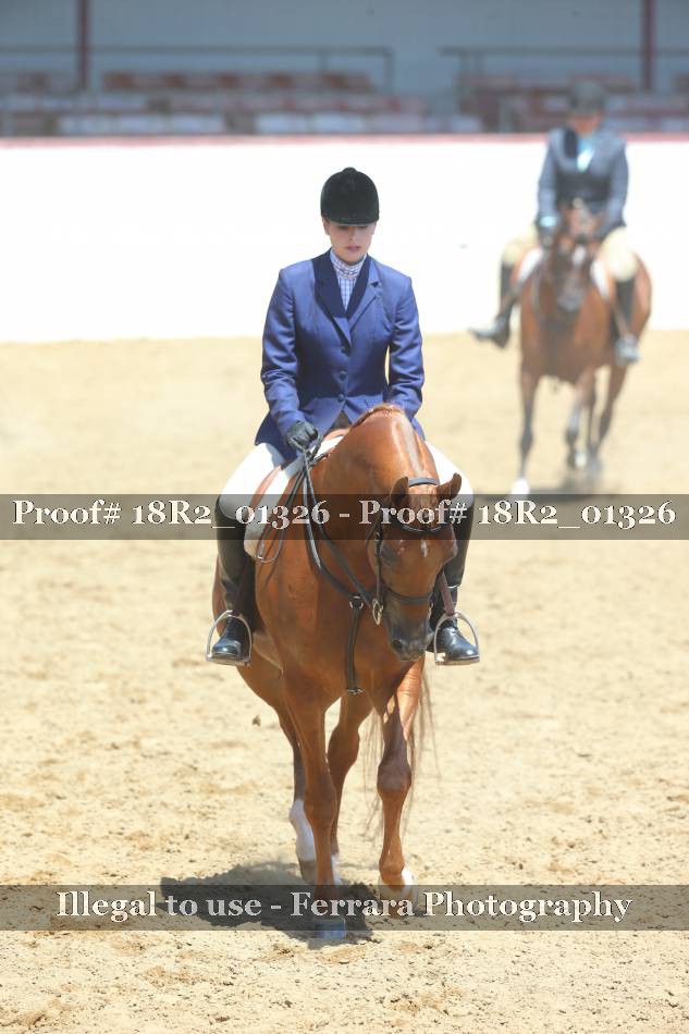 Proof Number 18R2_01326