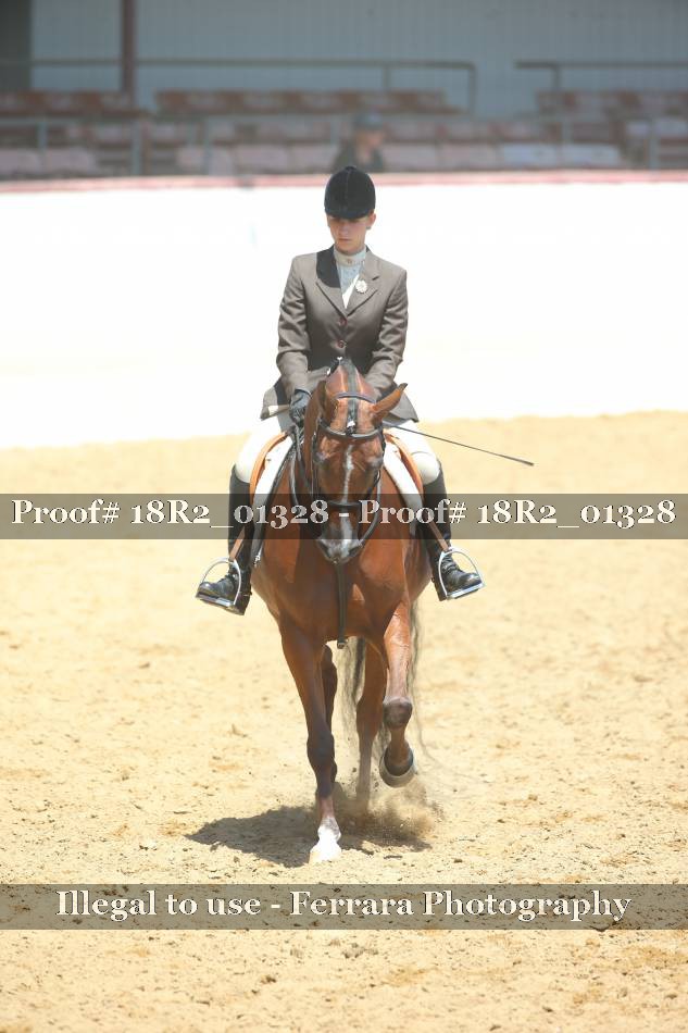 Proof Number 18R2_01328