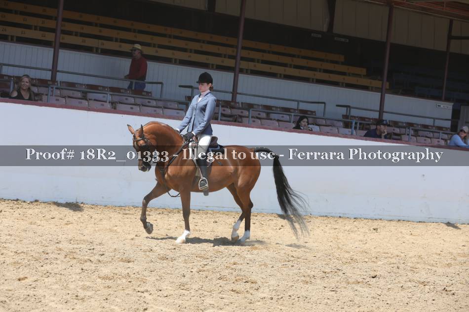 Proof Number 18R2_01333