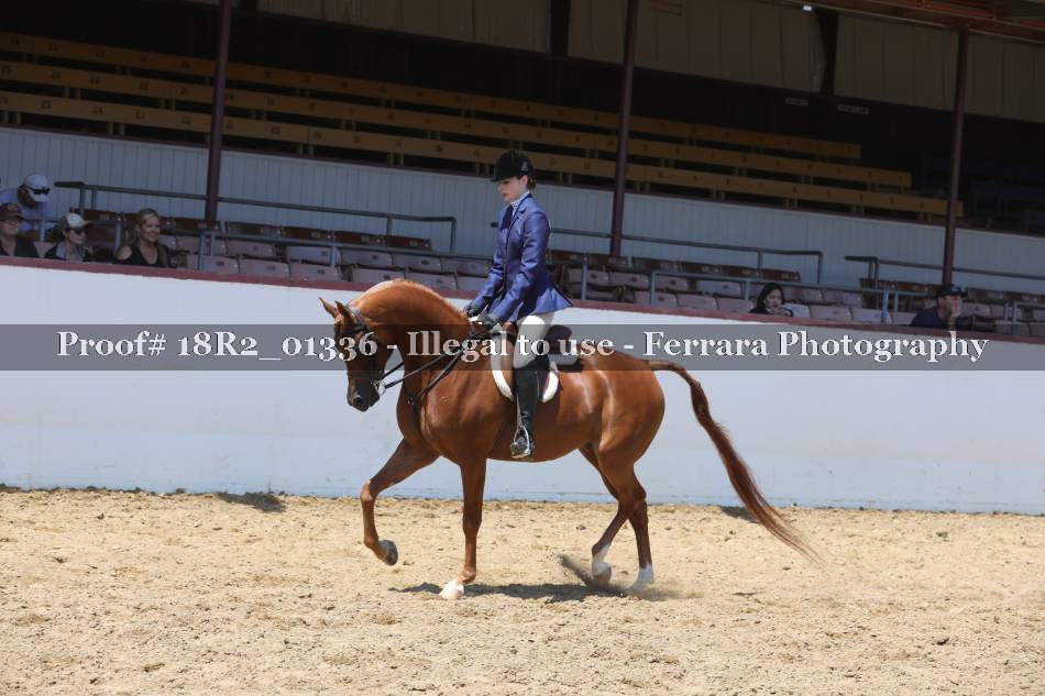 Proof Number 18R2_01336