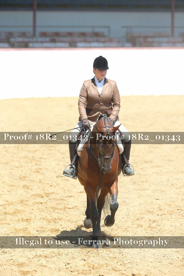 Proof Number 18R2_01343