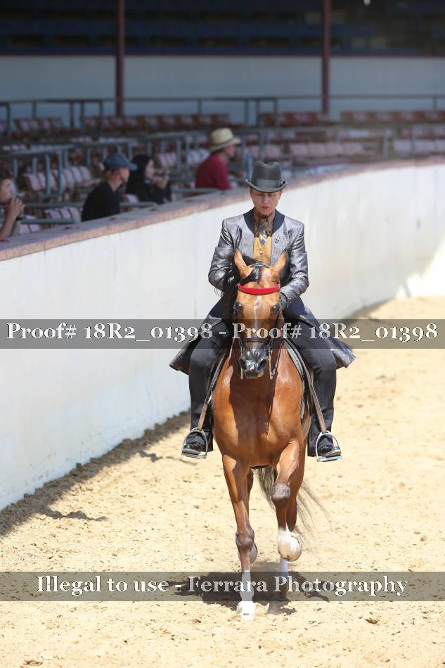 Proof Number 18R2_01398