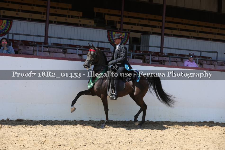 Proof Number 18R2_01453