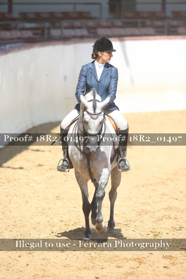 Proof Number 18R2_01497