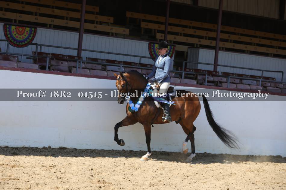 Proof Number 18R2_01515