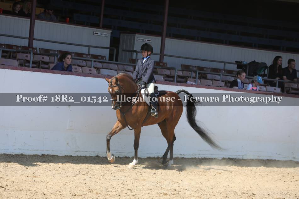 Proof Number 18R2_01542