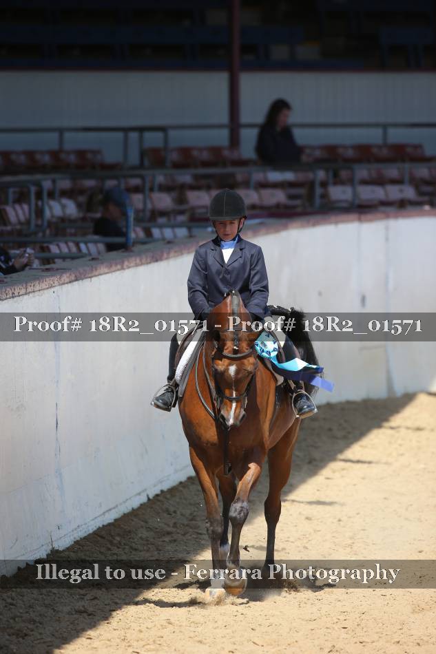 Proof Number 18R2_01571