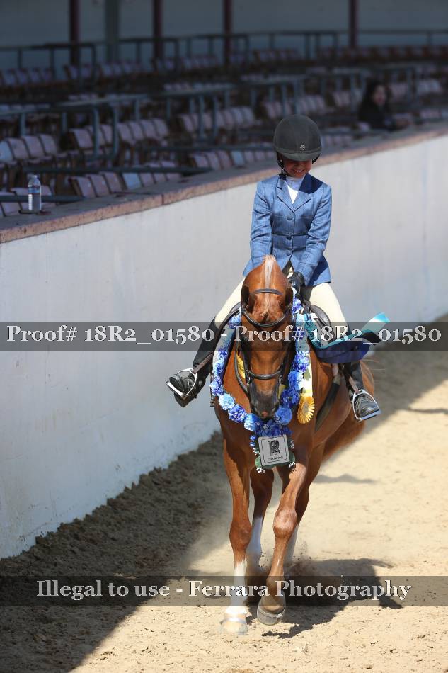 Proof Number 18R2_01580