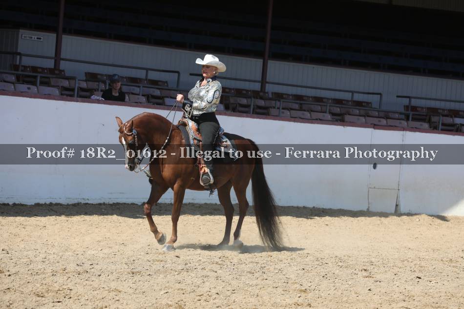Proof Number 18R2_01612