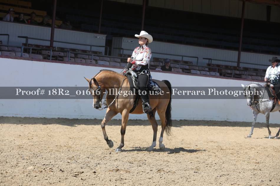 Proof Number 18R2_01616