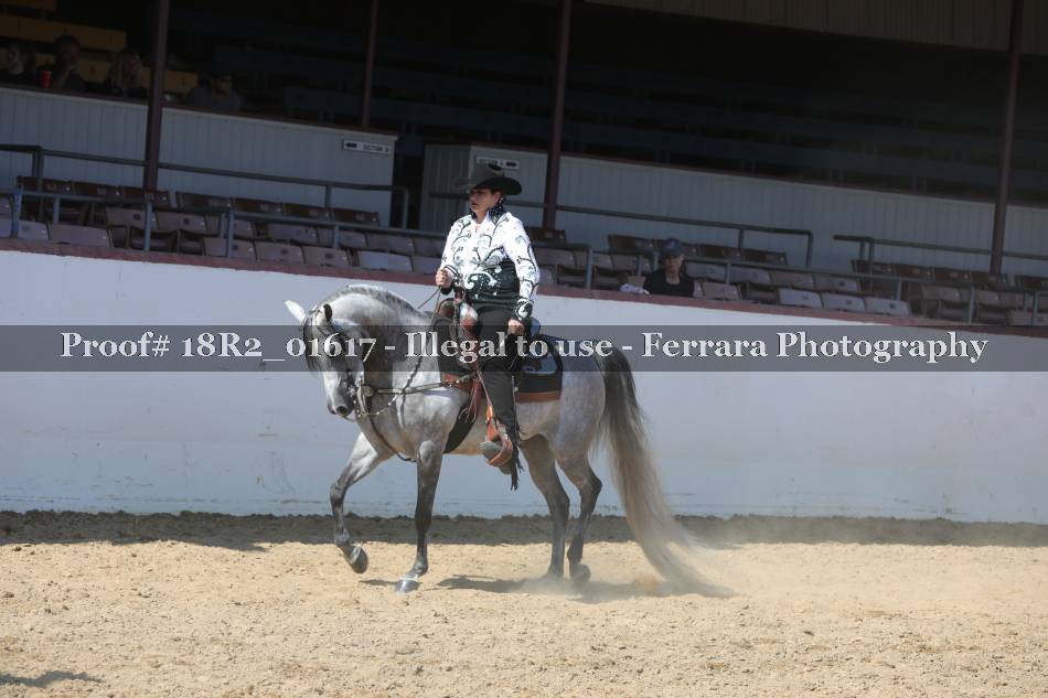 Proof Number 18R2_01617