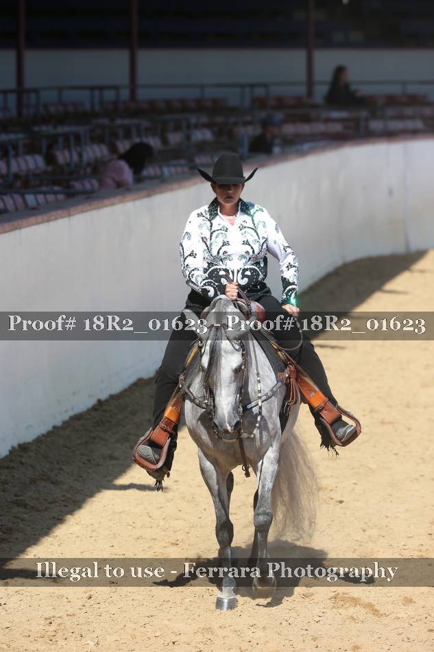 Proof Number 18R2_01623