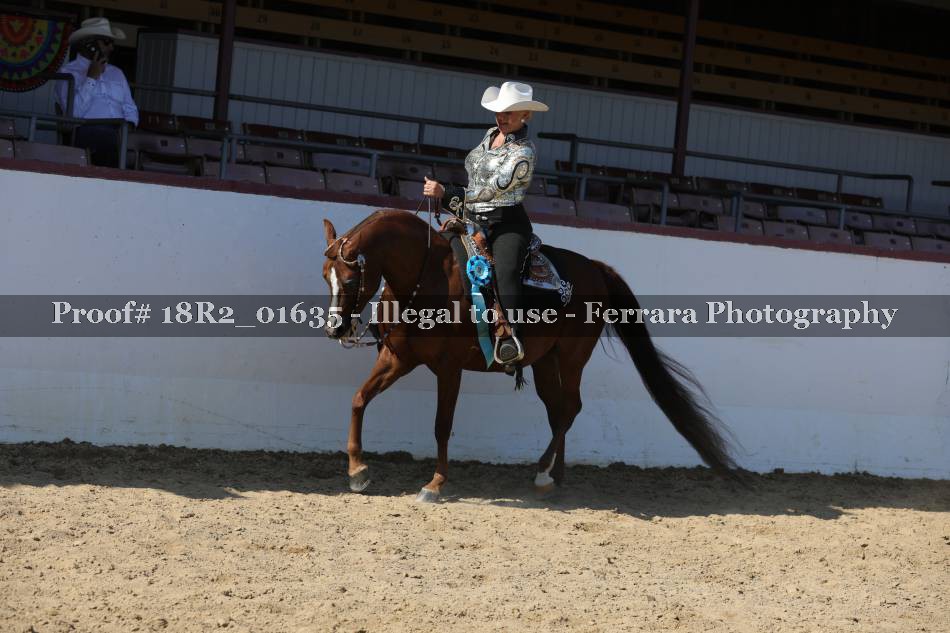 Proof Number 18R2_01635
