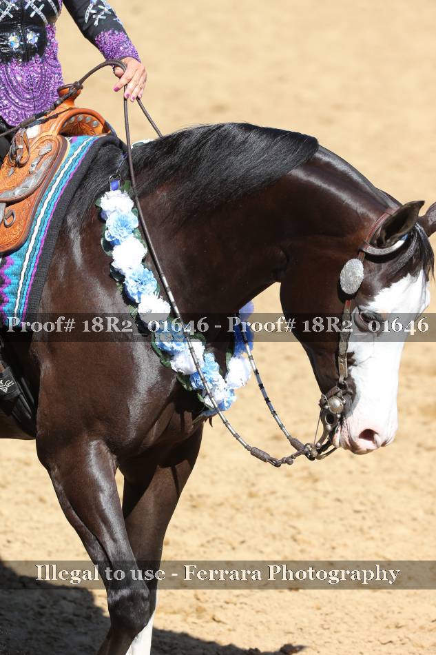 Proof Number 18R2_01646