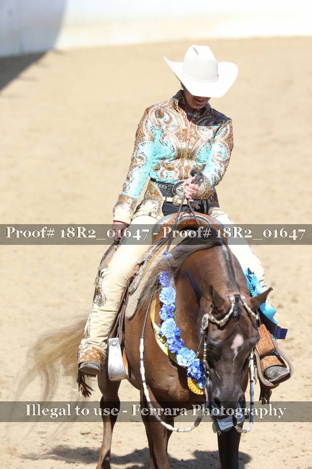 Proof Number 18R2_01647