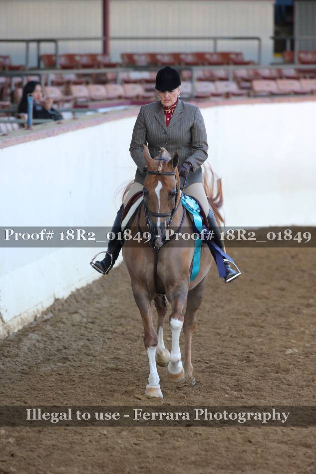 Proof Number 18R2_01849