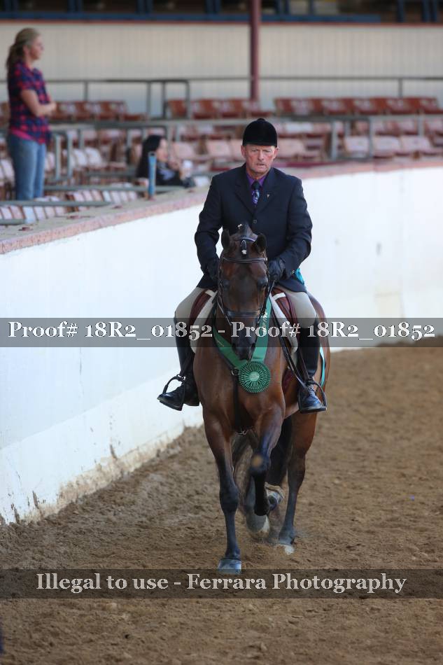 Proof Number 18R2_01852