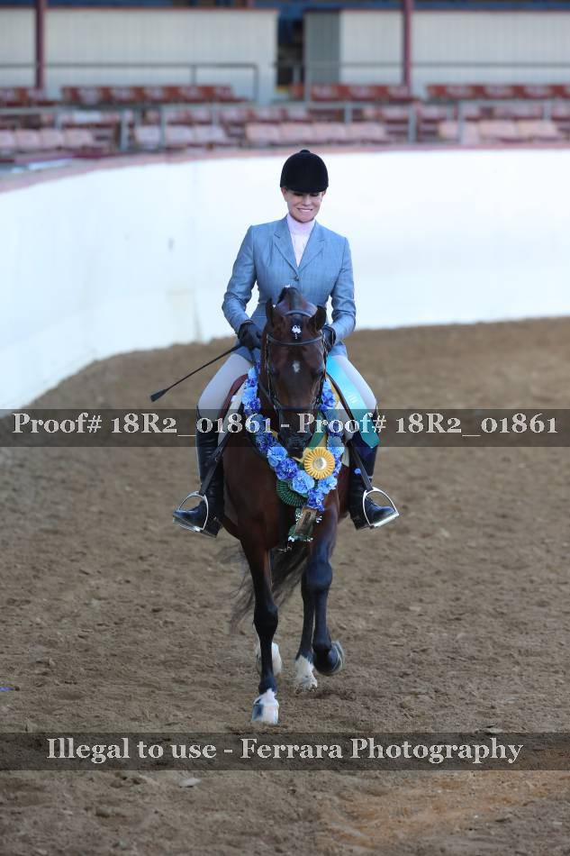 Proof Number 18R2_01861