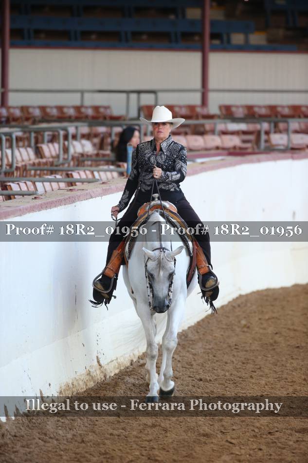 Proof Number 18R2_01956