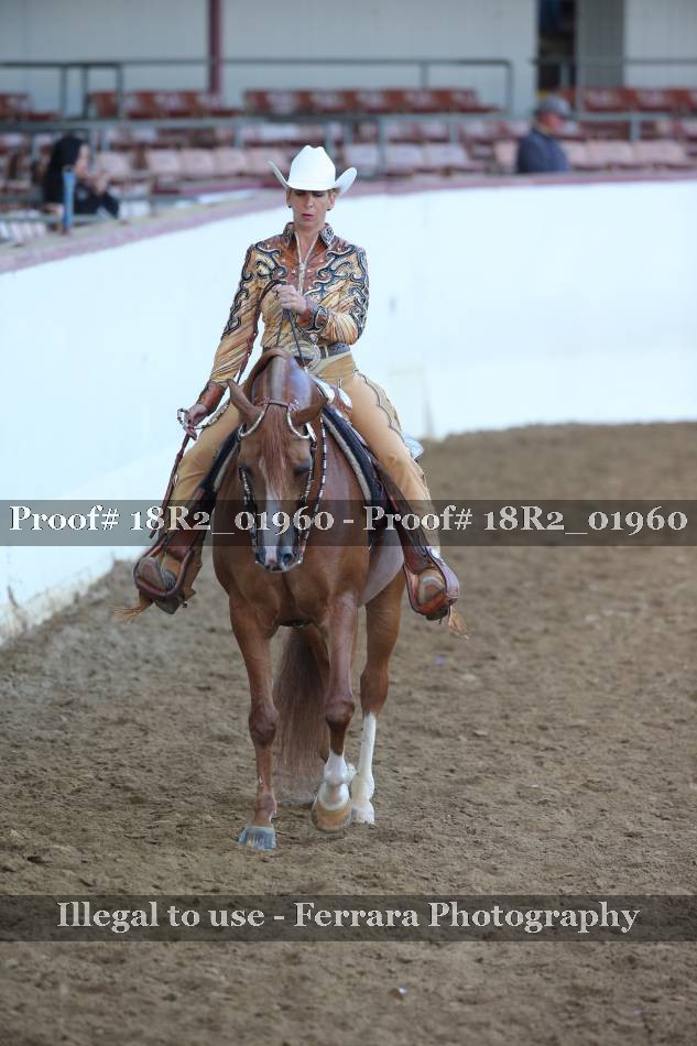 Proof Number 18R2_01960