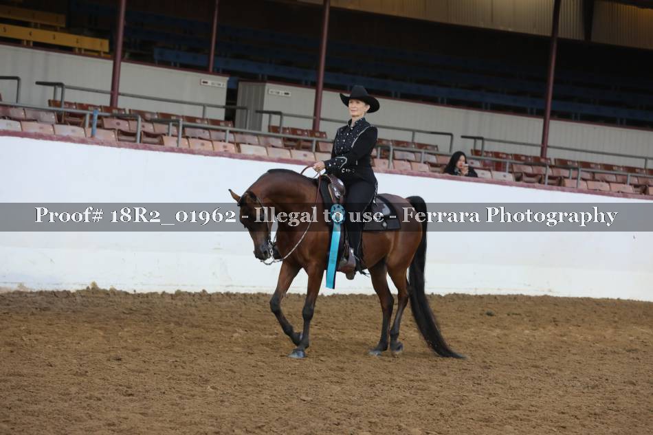 Proof Number 18R2_01962