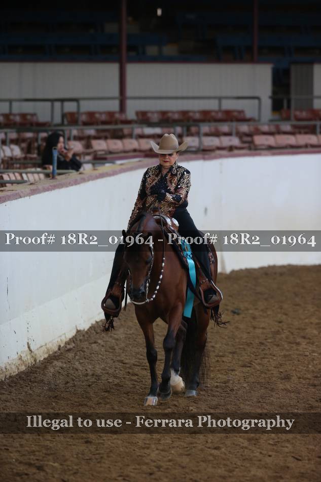 Proof Number 18R2_01964