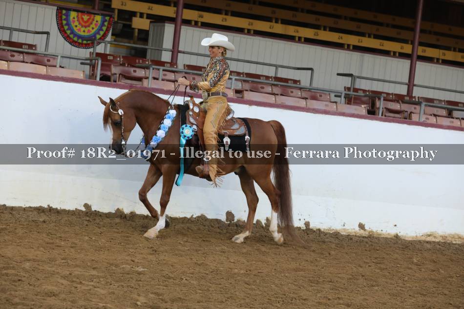 Proof Number 18R2_01971