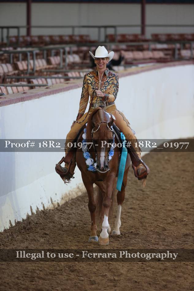 Proof Number 18R2_01977
