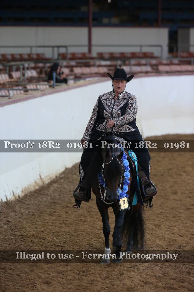 Proof Number 18R2_01981