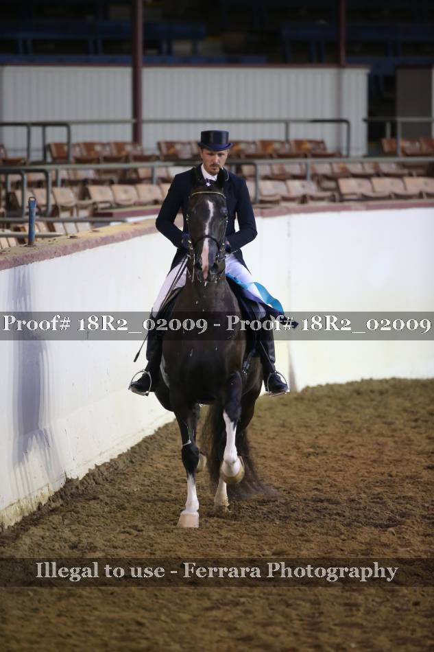 Proof Number 18R2_02009