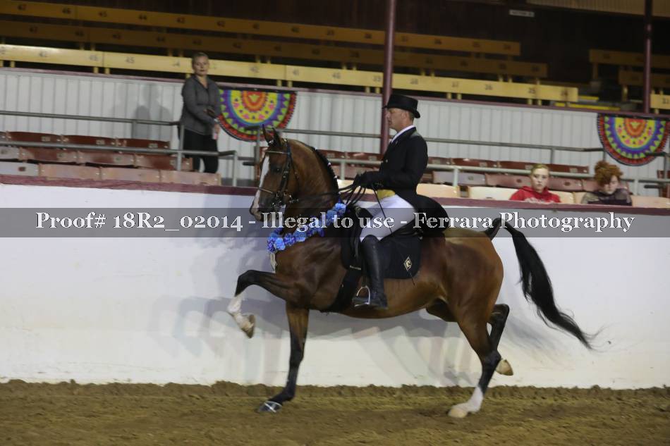 Proof Number 18R2_02014