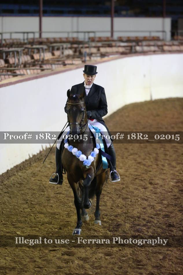 Proof Number 18R2_02015