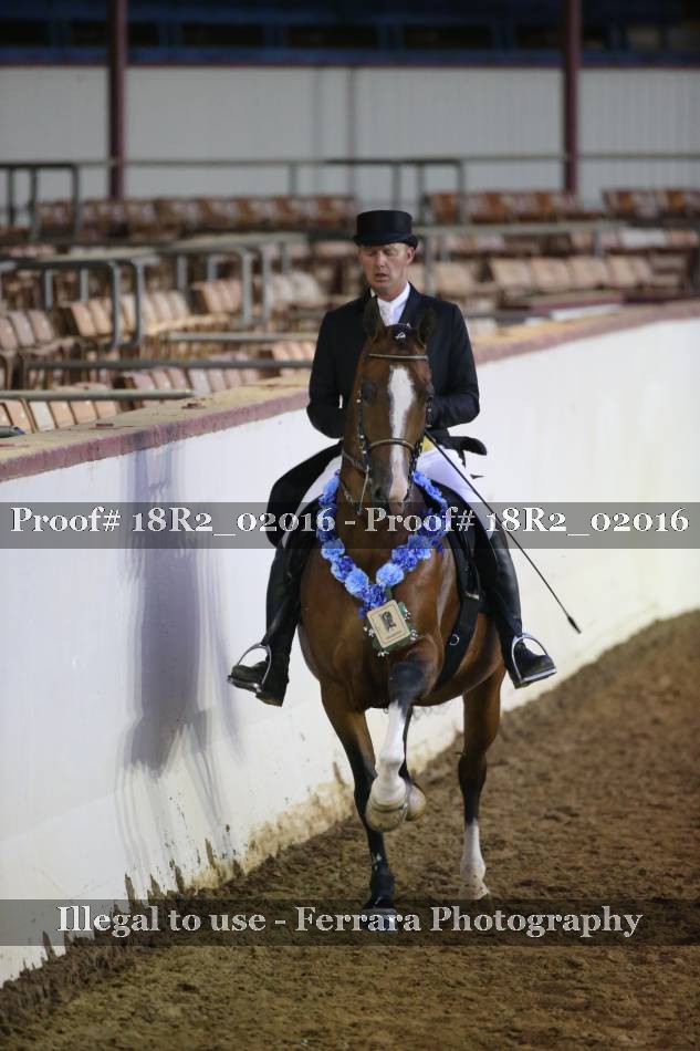 Proof Number 18R2_02016