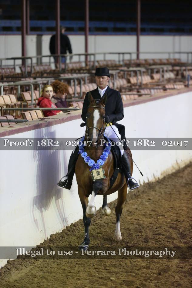 Proof Number 18R2_02017