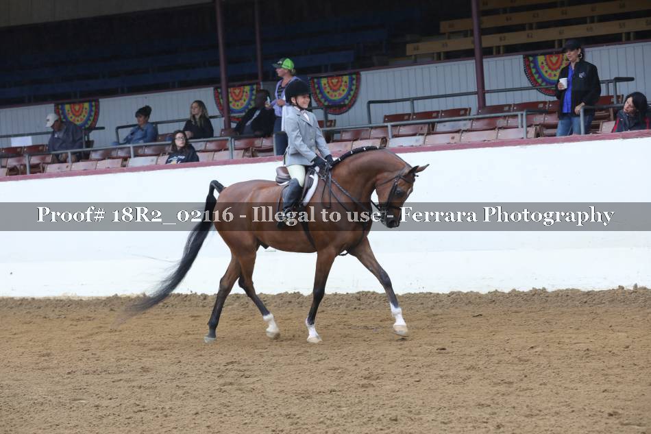 Proof Number 18R2_02116