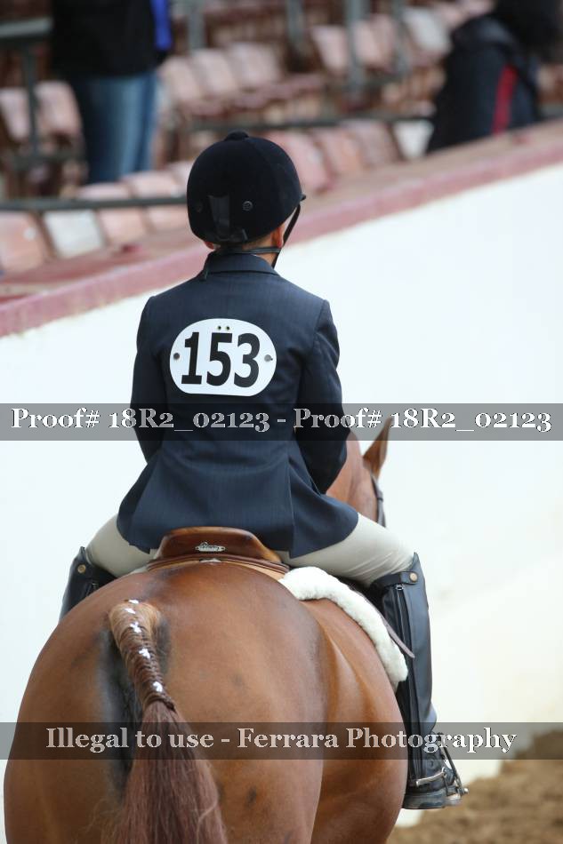 Proof Number 18R2_02123
