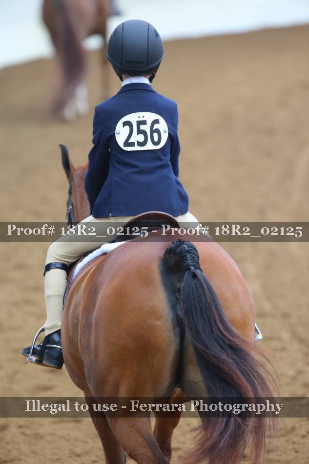Proof Number 18R2_02125