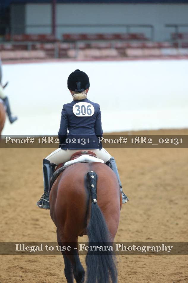 Proof Number 18R2_02131