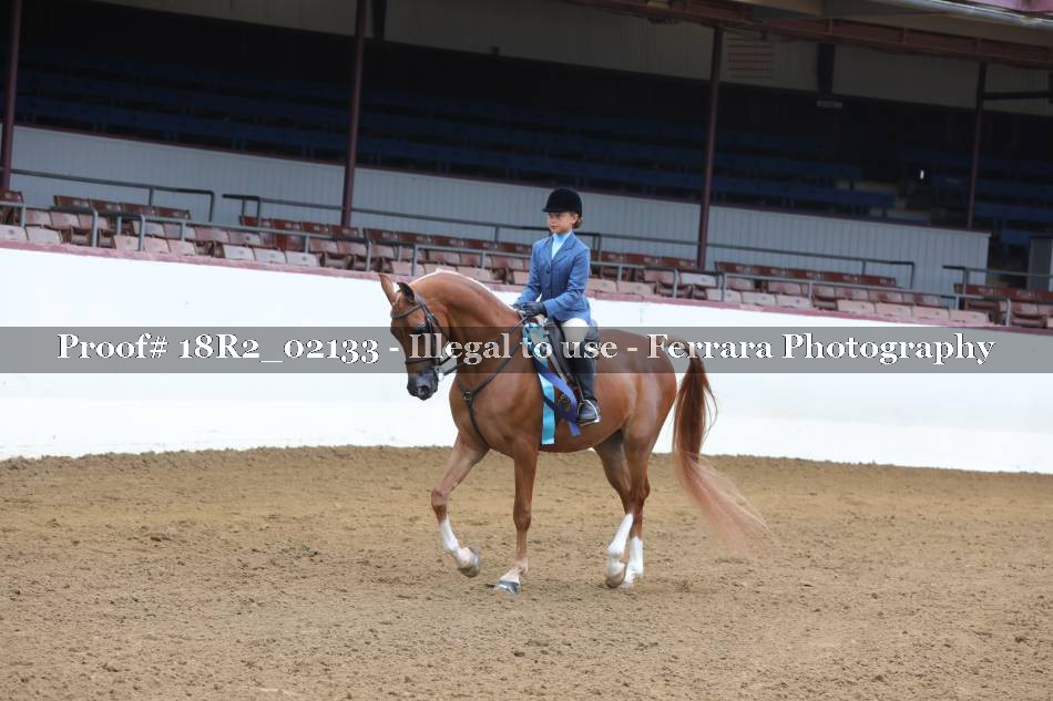 Proof Number 18R2_02133