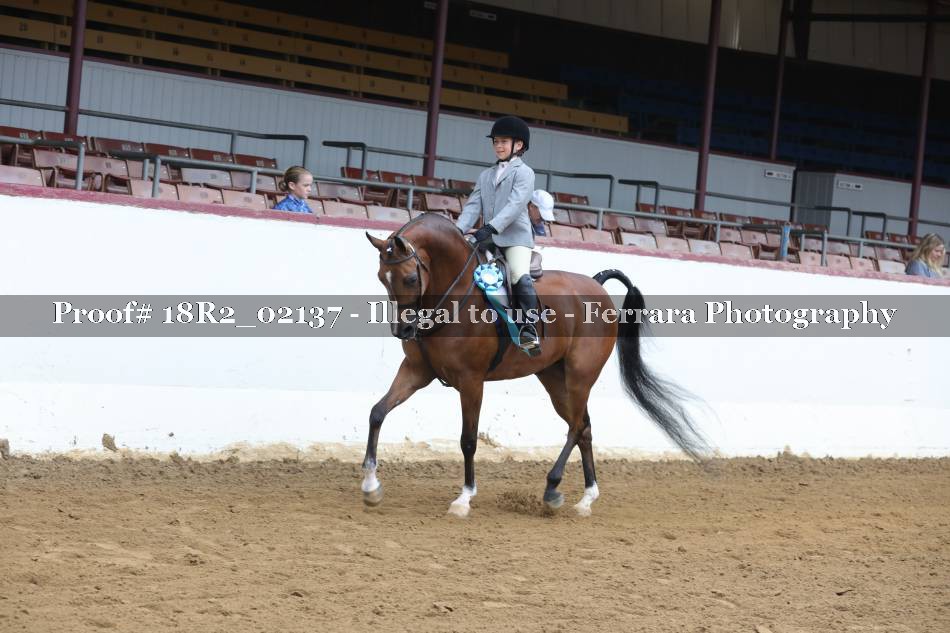 Proof Number 18R2_02137